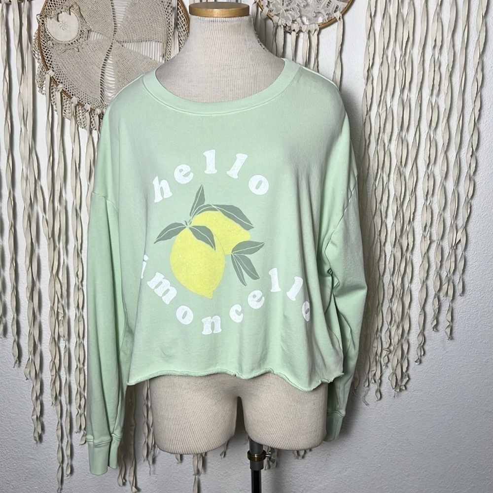 Wildfox Mint Colored “Hello Limoncello” Oversized Sweatshirt XS/L
